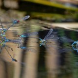 Le tribunal a donné à l'Etat français jusqu'au 30 juin 2024 au plus tard pour mieux respecter ses trajectoires de baisse de l'utilisation des pesticides et protéger les eaux.
